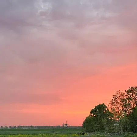 Rhynhoven