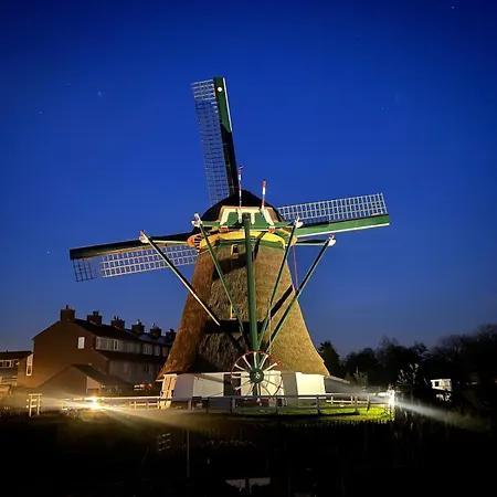 Rhynhoven *