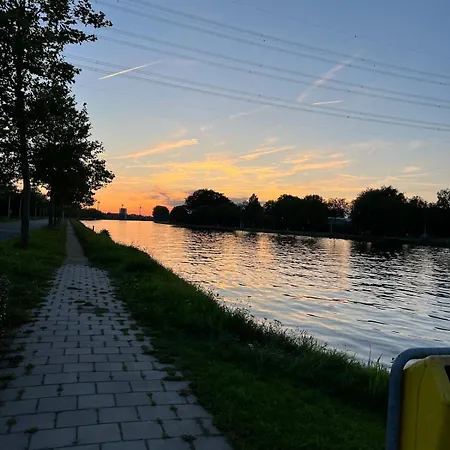 Rhynhoven *