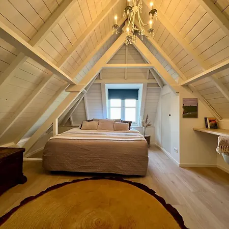 Rhynhoven *