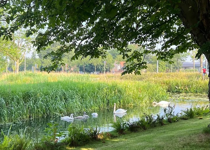 Rhynhoven * Hazerswoude-Rijndijk